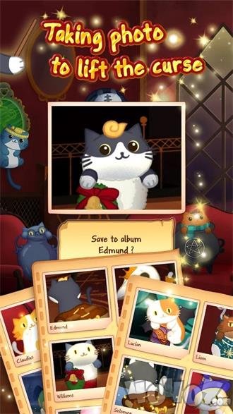 猫屋魔法猫