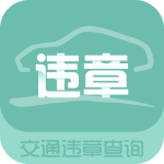 交通违章查询