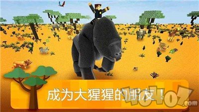 我的未知世界