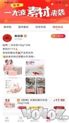 集极猫