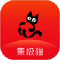 集极猫