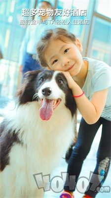 爱宠游