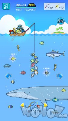 小小水族馆