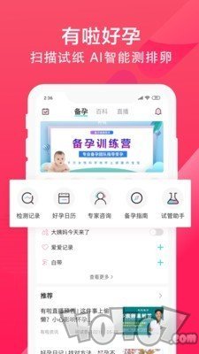 有啦