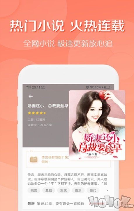 轻果小说软件