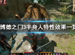 博德之门3半身人特性有什么 半身人特性效果介绍