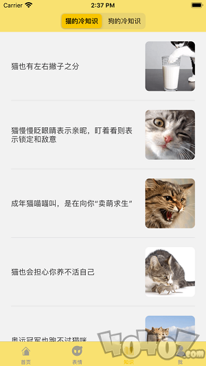 猫狗人交流
