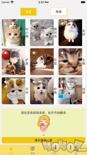 猫狗人交流