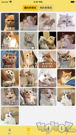 猫狗人交流
