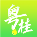 粤桂乡情