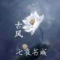 七夜书城