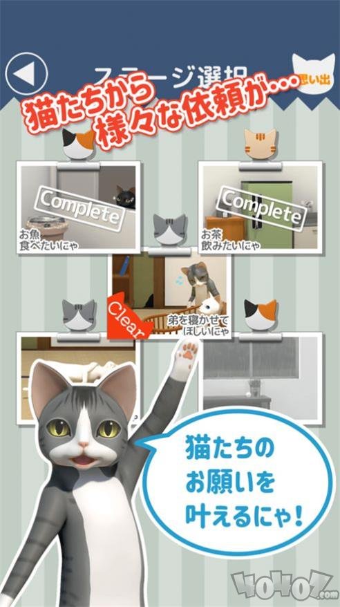 猫的仆人