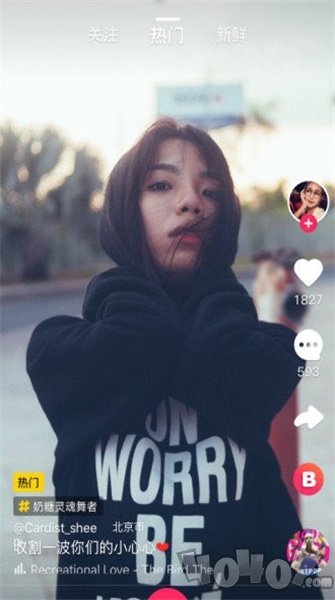 曲奇视频