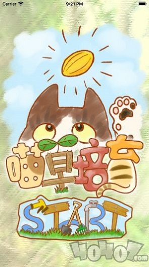 喵草培育