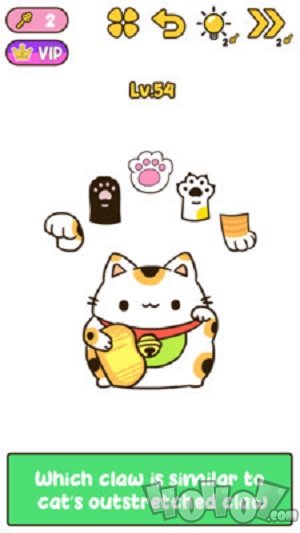 我的IQ大脑