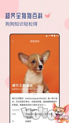 狗狗交流翻译器