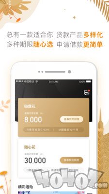 向心贷