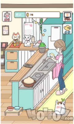 家猫的日常