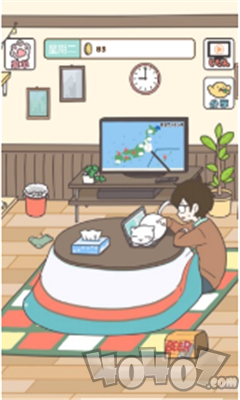 家猫的日常