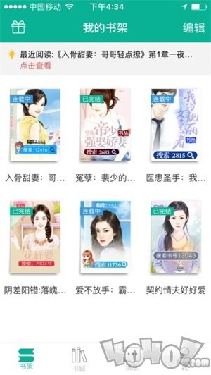 书丛小说