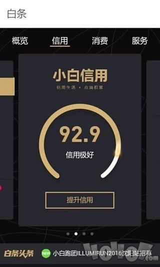 白条