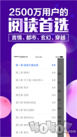 X小说