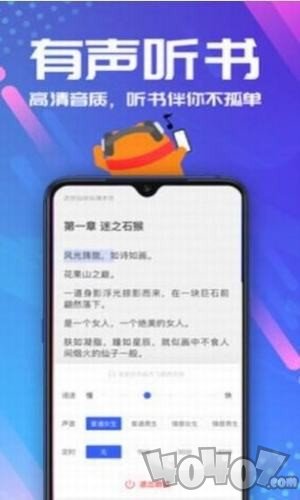 安然小说