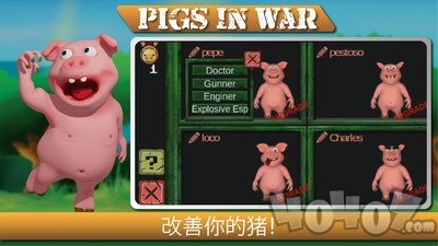 战争中的猪