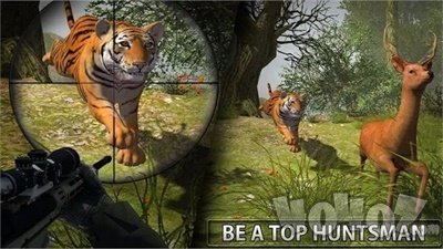 狙击猎人狩猎