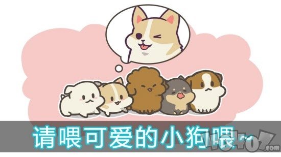 喂养小狗