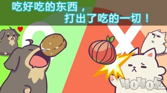 喂养小狗