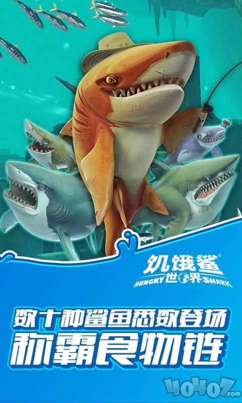 饥饿的鲨鱼