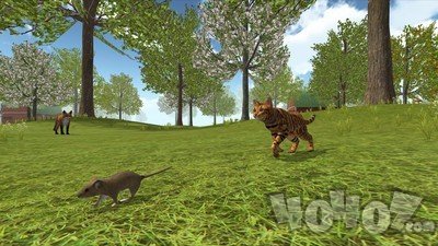 猫猫模拟器2020