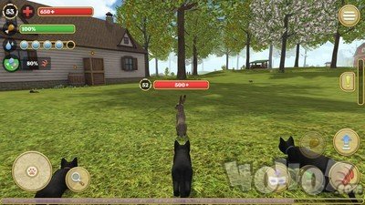 猫猫模拟器2020