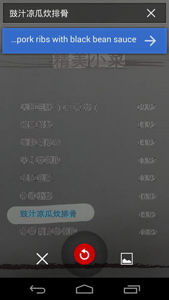 谷歌翻译截图