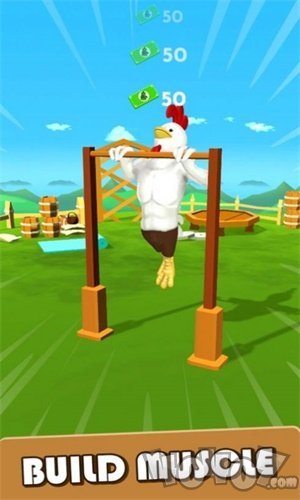 公鸡训练
