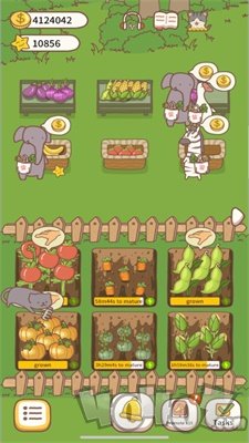 农家小馆