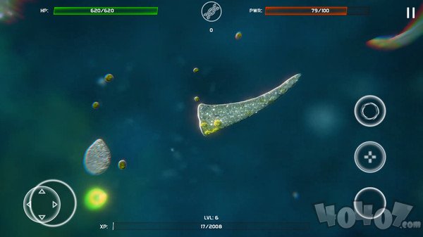 细胞进化最新版