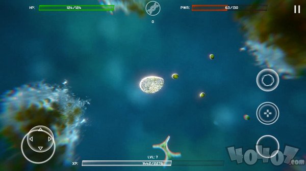 细胞进化最新版