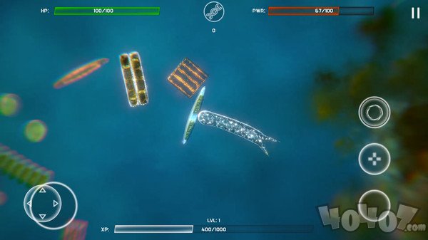 细胞进化最新版