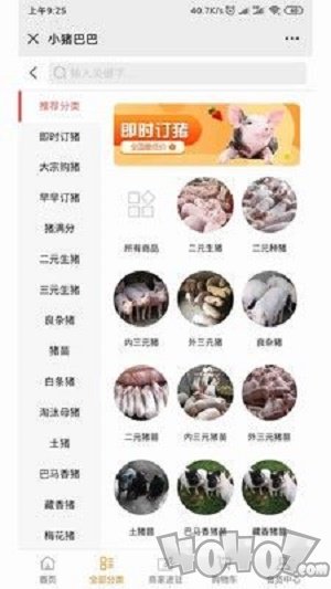 小猪巴巴