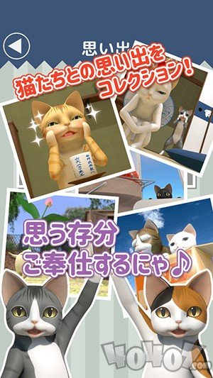 逃脱游戏猫咪大人的侍者