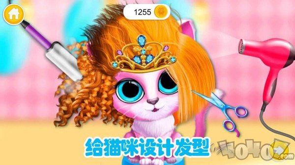 迷你城市猫狗乐园