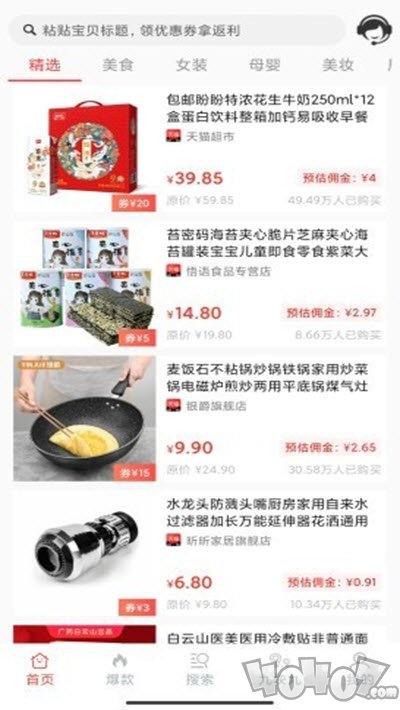 摘叶网