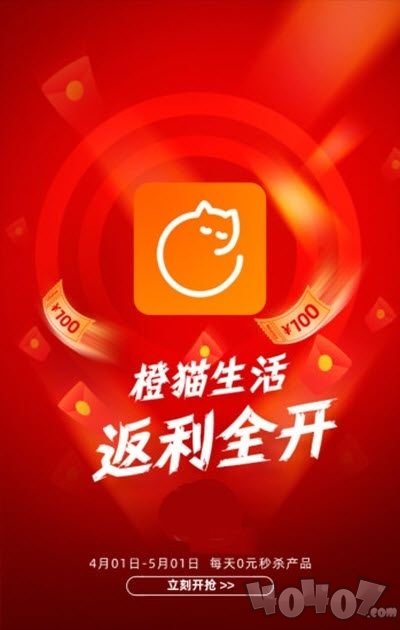橙猫生活