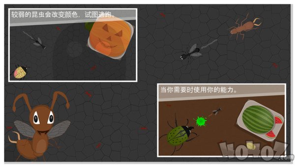 蚂蚁进化世界