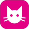 速猫