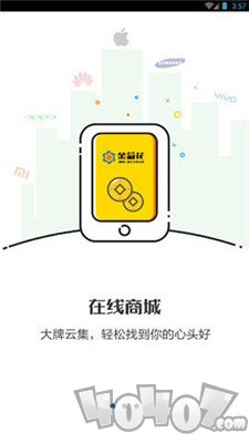 金菊花