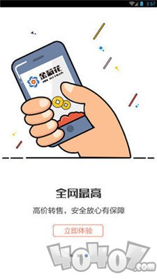 金菊花