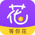 等你花
